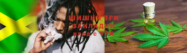 индика Инта