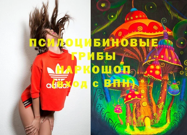 индика Инта
