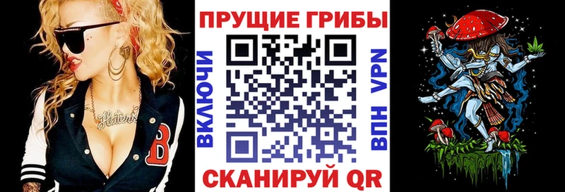 Купить закладки  Оса  Псилоцибиновые грибы MAGIC MUSHROOMS 